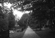 right-photo